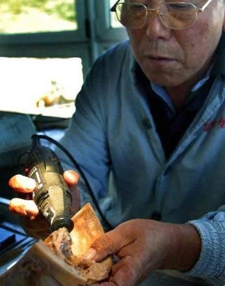尸体博物馆 真人尸体加工现场 胆小勿入！