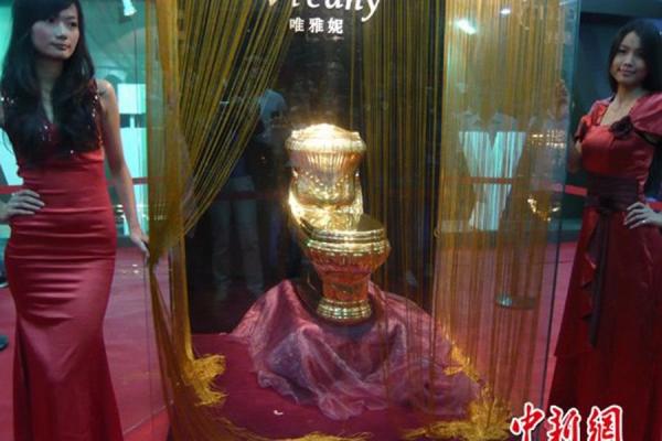 百万金马桶亮相海口世界厕所展览（图）